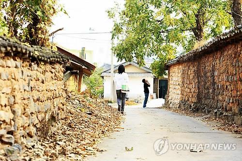 익산 함라면 돌담길