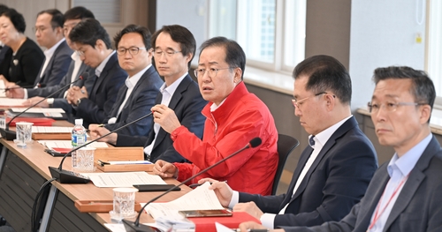 홍준표 대구시장 "관행적 보조사업·행사성 지원 예산 재검토"