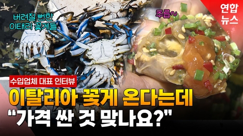 [영상] 이탈리아 '골칫거리' 푸른 꽃게, 한국 밥상 오르나? 대표 인터뷰