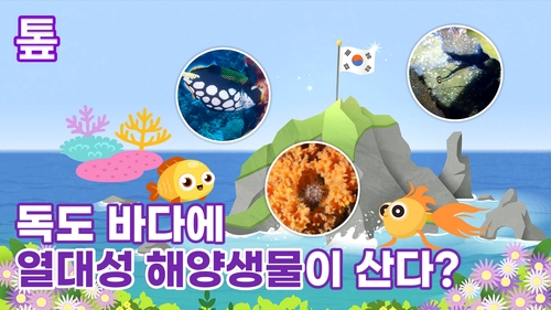 [톺뉴스] 독도 바다에 열대성 해양생물이 나타났다?
