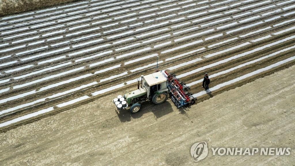중국 신장 위구르 지역의 면화 재배지 [신화=연합뉴스]