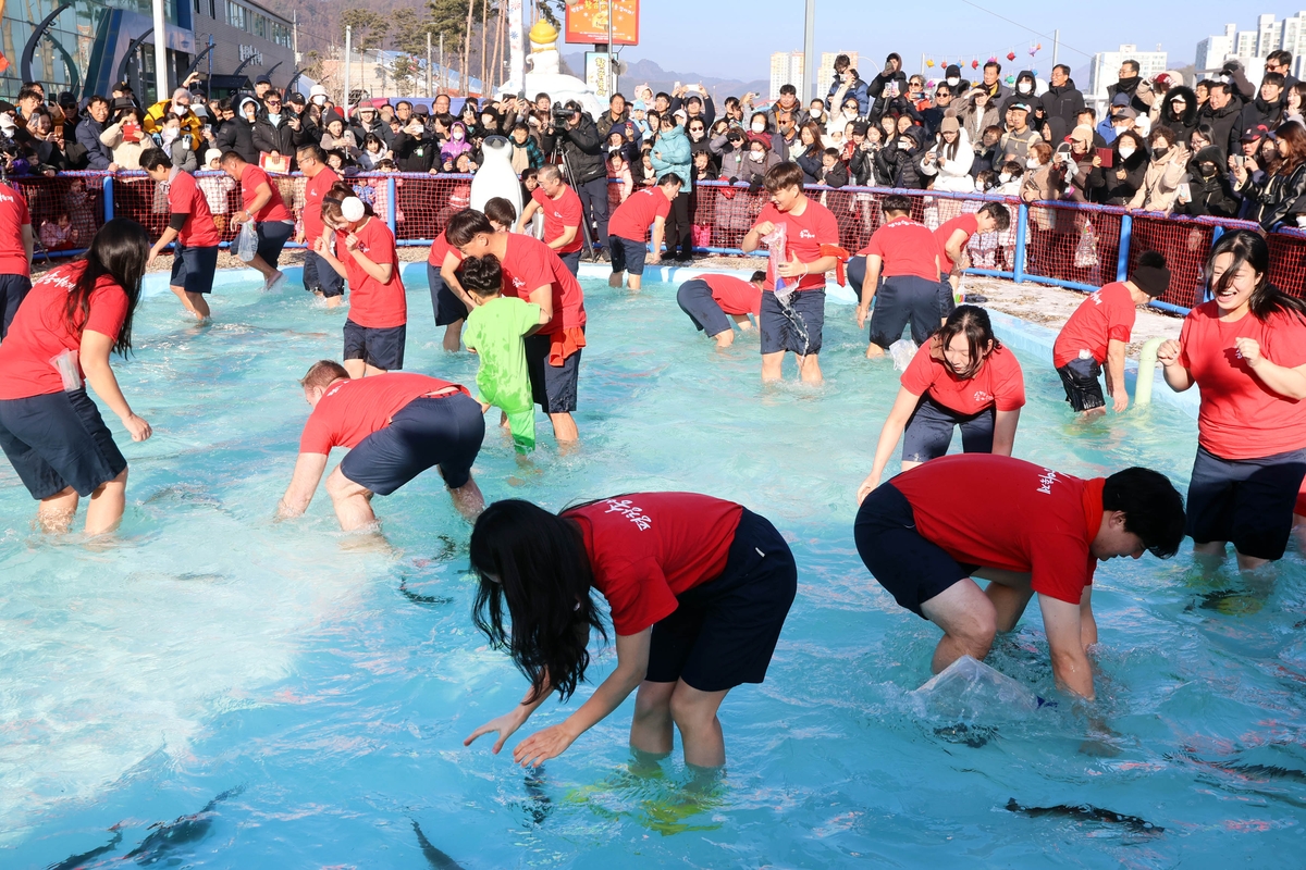 송어 잡기 / 평창송어축제위원회 제공