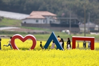 [화순소식] 고인돌 봄꽃 축제 19일 개최