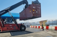 인천항 야적장서 붉은불개미 2천마리 발견…방제 작업
