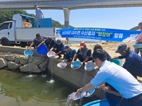 가마우지에 씨 마르는 어족자원…양구서 뱀장어 3만여마리 방류