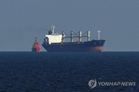 우크라 "러, 전략폭격기로 루마니아 근해서 곡물운반선 공격"