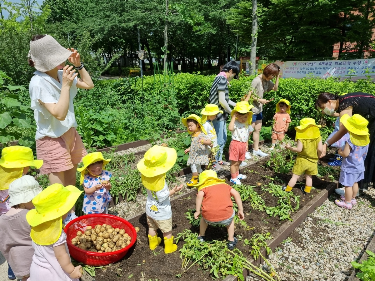 서울형 모아어린이집 공동체 텃밭 활동