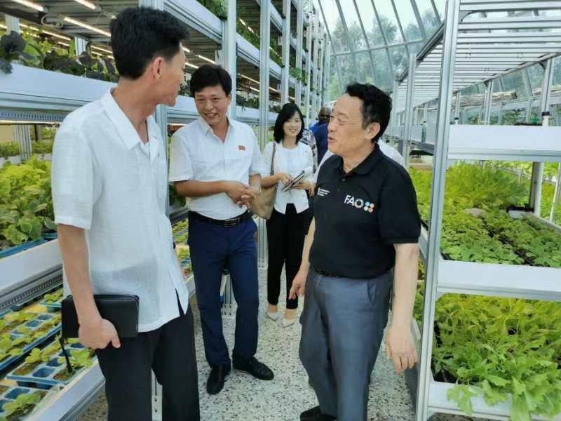 북한 강동종합온실을 방문한 취둥위 유엔식량농업기구(FAO) 사무총장