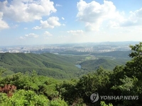 "광교산에 브루셀라 걸린 개 10마리 유기"…수원시, 6마리 포획