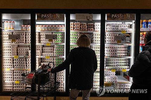 뉴욕시 한 식료품점의 계란 진열대