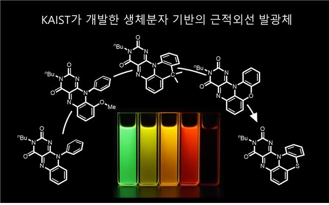 생체 내 형광분자 기반 근적외선 발광체 