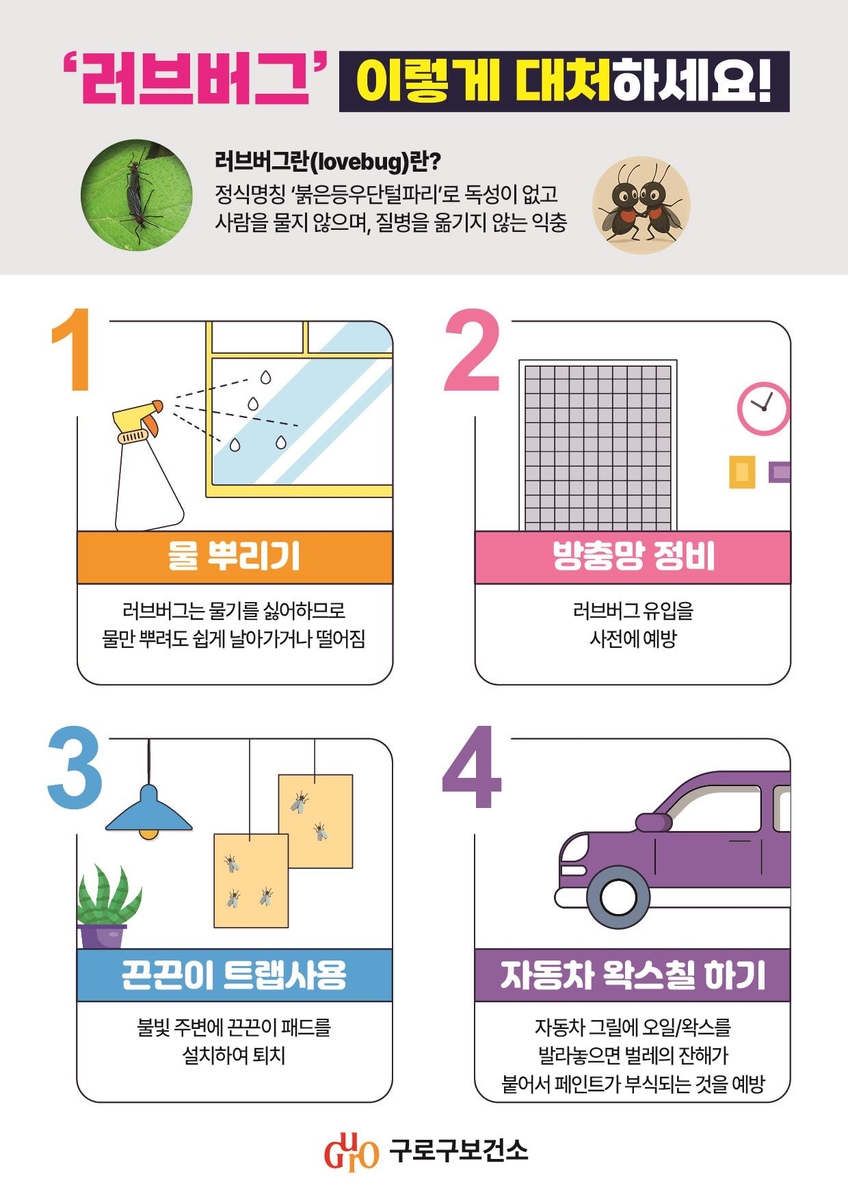 구로구, 여름철 해충 방역 강화…
