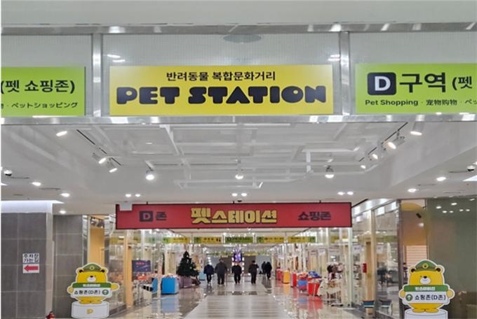 부산시, 반려동물 특화거리서 동물축제…활성화 지원