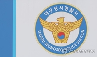 경찰, '동승자 음주운전 방조 의혹' 대구 기초의원 조사