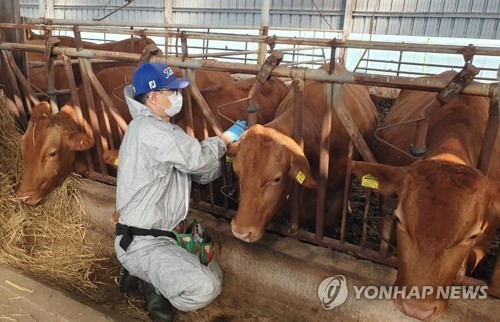 농식품부, '럼피스킨 발생' 프랑스산 소고기 수입 금지