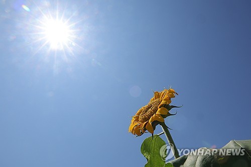 대구·경북 대체로 맑음…낮 기온 27∼34도