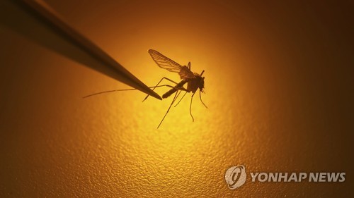 [위클리 건강] 