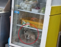 [인사] 문화체육관광부