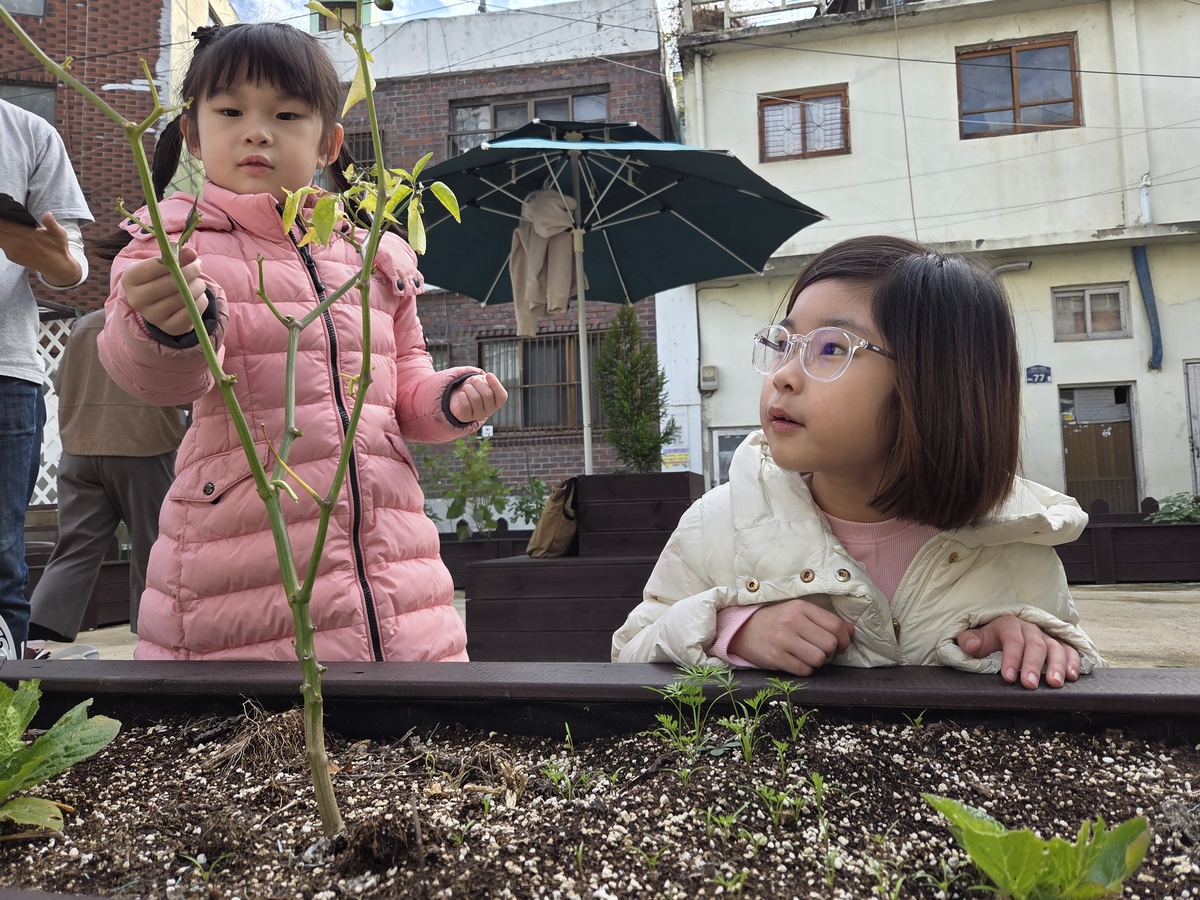 텃밭 찾은 나율양네 가족