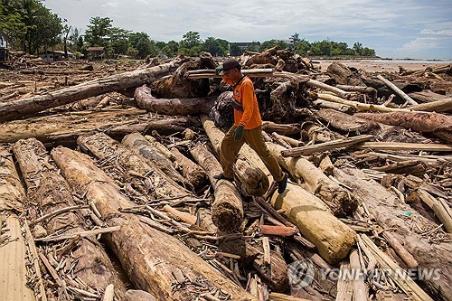 "숲 파괴의 끔찍한 대가"…인니 대홍수에 1천295명 사망·실종