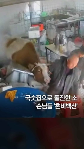  차량 경적에 놀란 소 돌진…식당 '아수라장'