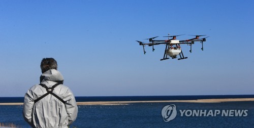 Un funcionario controla un dron para fumigar desinfectante, el 29 de noviembre de 2020, en un hábitat para aves migratorias, en Yangyang, a 215 kilómetros al este de Seúl.