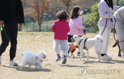 Uno de cada cuatro surcoreanos tiene mascota en 2022