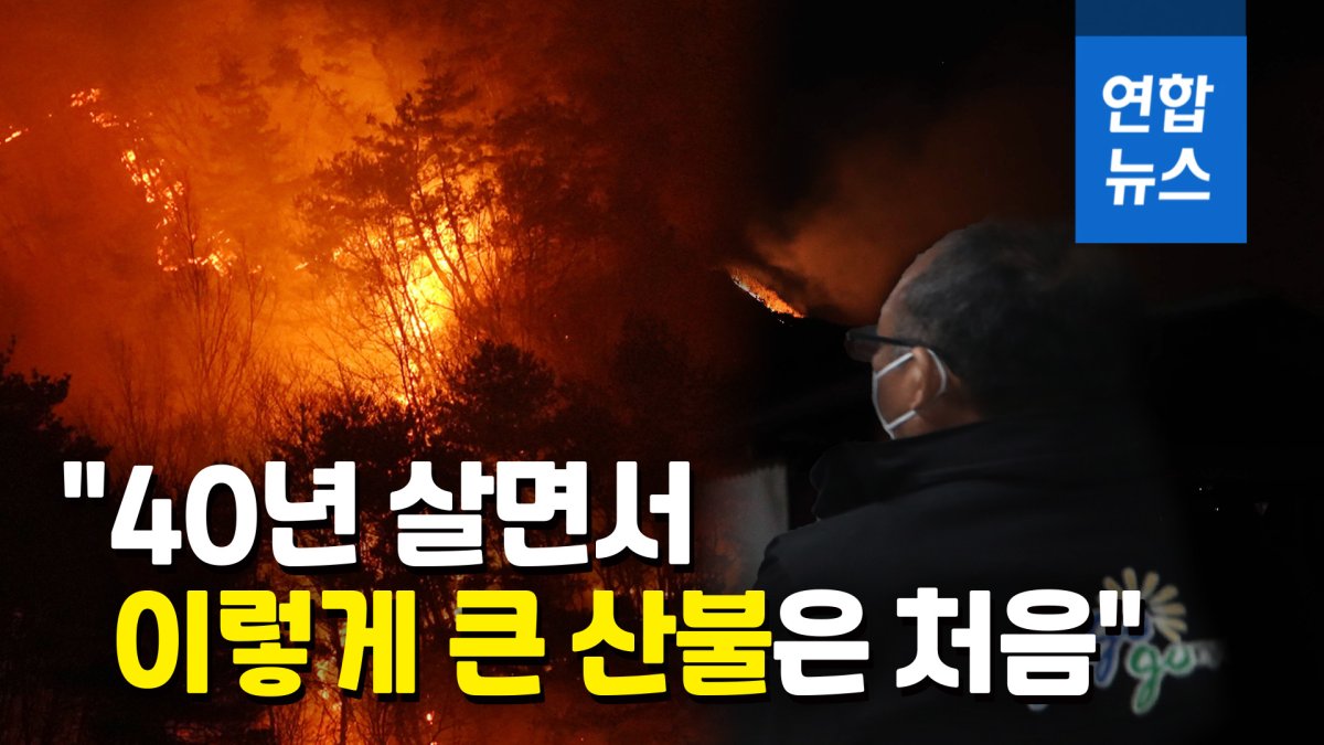 [영상] '축구장 850개 면적' 합천·고령에 큰 산불…민가는 무사