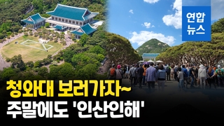 [영상] 이제는 서울 대표 관광명소…청와대서 만끽하는 봄날 주말