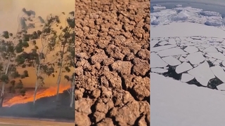유엔 "기후변화 4대 지표 역대 최악…기후 재앙 가까워져"