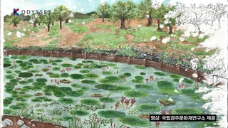[K스토리] '씨앗'과 '꽃가루'로 알아낸 신라 시대 생태환경
