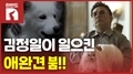 북한의 반려동물 문화는 어떨까?