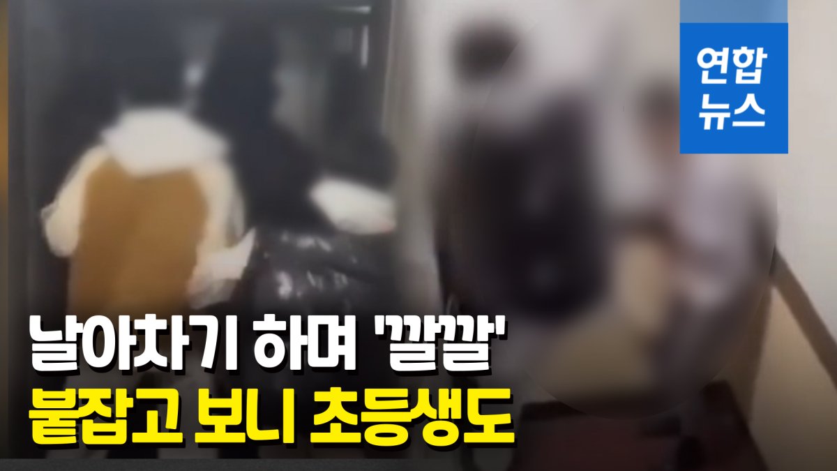 [영상] 초등생이 '날아차기'?…인천 집단폭행 가해자 다수 10대 재학생