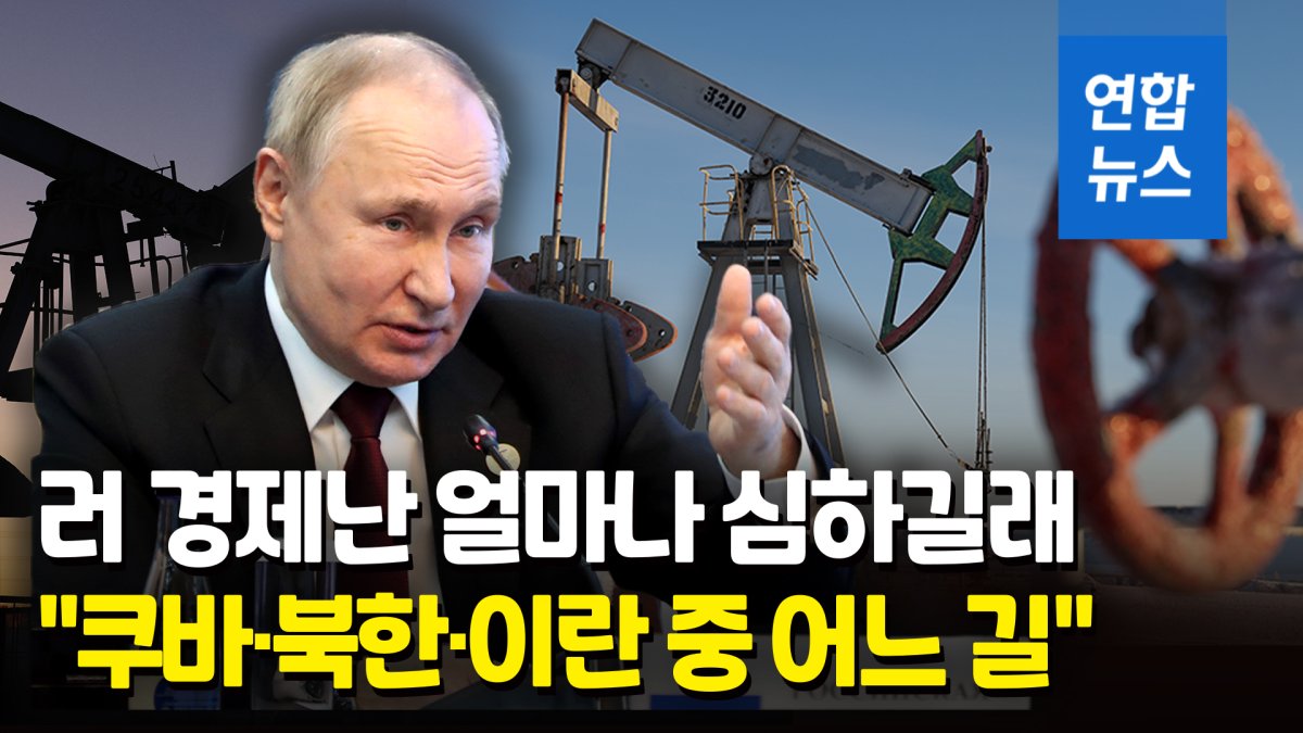 [영상] 러시아 경제 모델은?…서방 제재에서 살아남는 '세 가지 길'