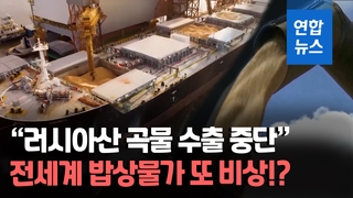 [영상] 식품 물가 더 오르나…카길 "러시아산 곡물 수출 7월부터 중단"