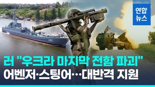 [영상] 러 "우크라 마지막 전함 파괴"…미, 대반격 앞서 무기 추가지원