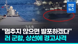  러 군함, 흑해 상선에 경고사격…"우크라행 선박은 잠재적 군함"