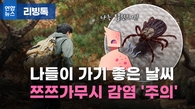 [리빙톡] 나들이 가기 좋은 날씨…쯔쯔가무시 감염 '주의'