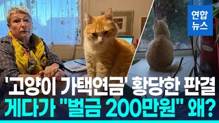 [영상] 옆집 침범해 볼일 본 고양이 '가택연금'…"佛 최고 논란 판결"