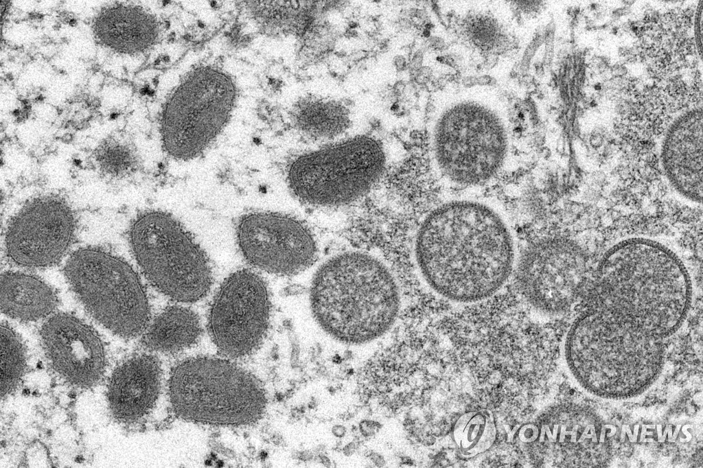 원숭이두창 바이러스 입자 현미경 이미지. 2003년 CDC 제공.