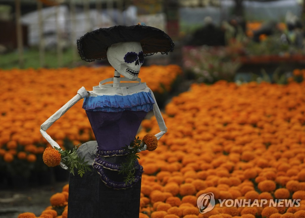 멕시코 셈파수칠 농가와 망자의 날 상징 '카트리나'