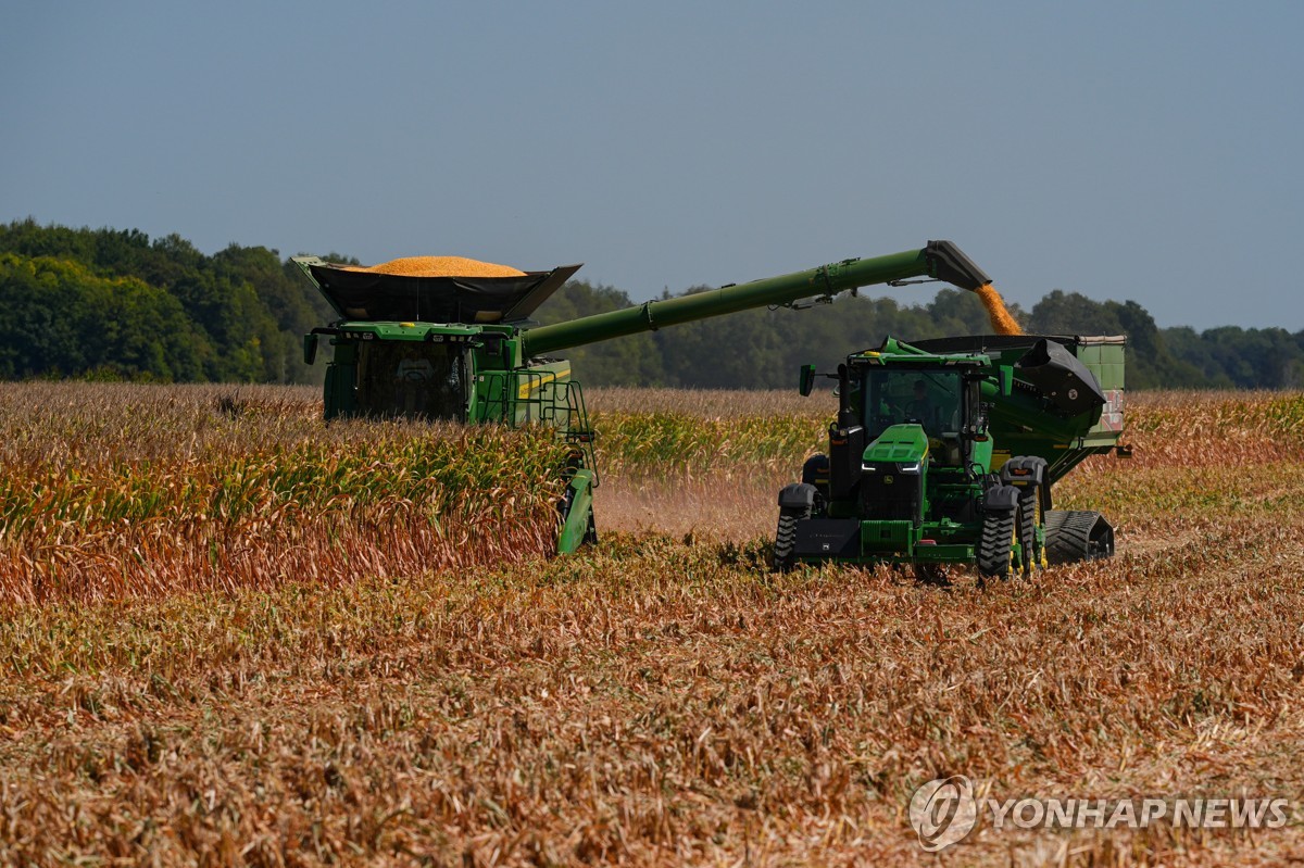 미국산 옥수수 수확