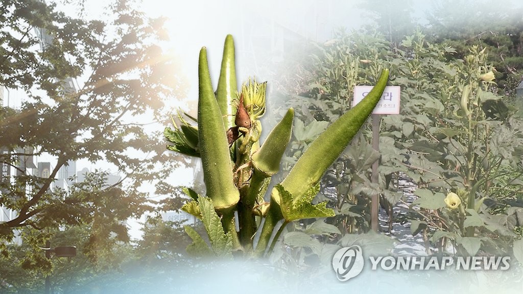 아열대 (CG)