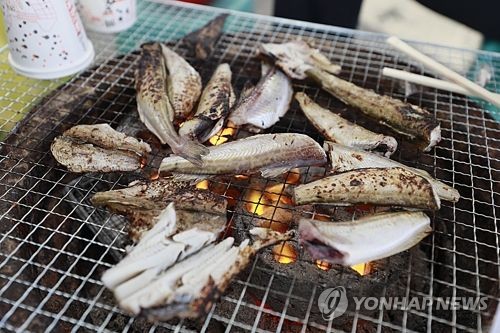 [주말 N 여행] 강원권: 두툼한 살 오도독 터지는 알…지금 놓치면 말짱 도루묵