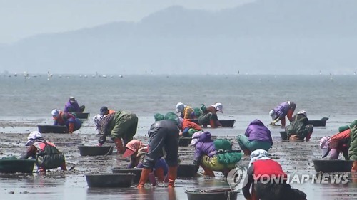창원 전 해역 패류 채취금지 해제…"안심하고 드세요"