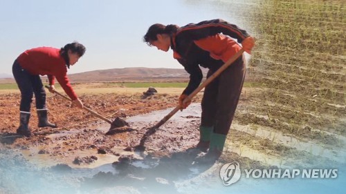 북한의 농촌 근로자들(CG)