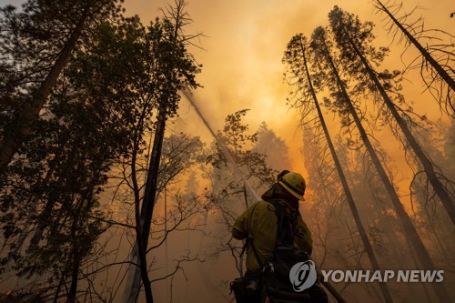 미국 캘리포니아 요세미티 국립공원 산불 