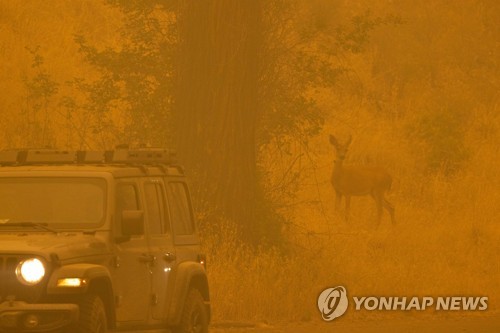 지난달 31일(현지시간) 미국 캘리포니아주 클래머스 국유림에서 발생한 산불