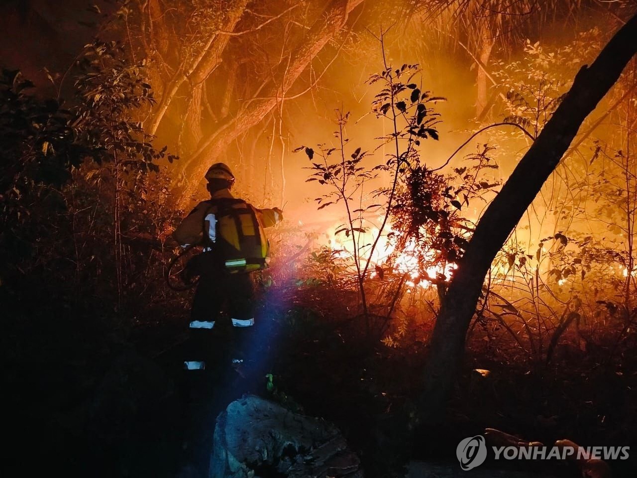 지난 25일(현지시간) 볼리비아 산불 현장