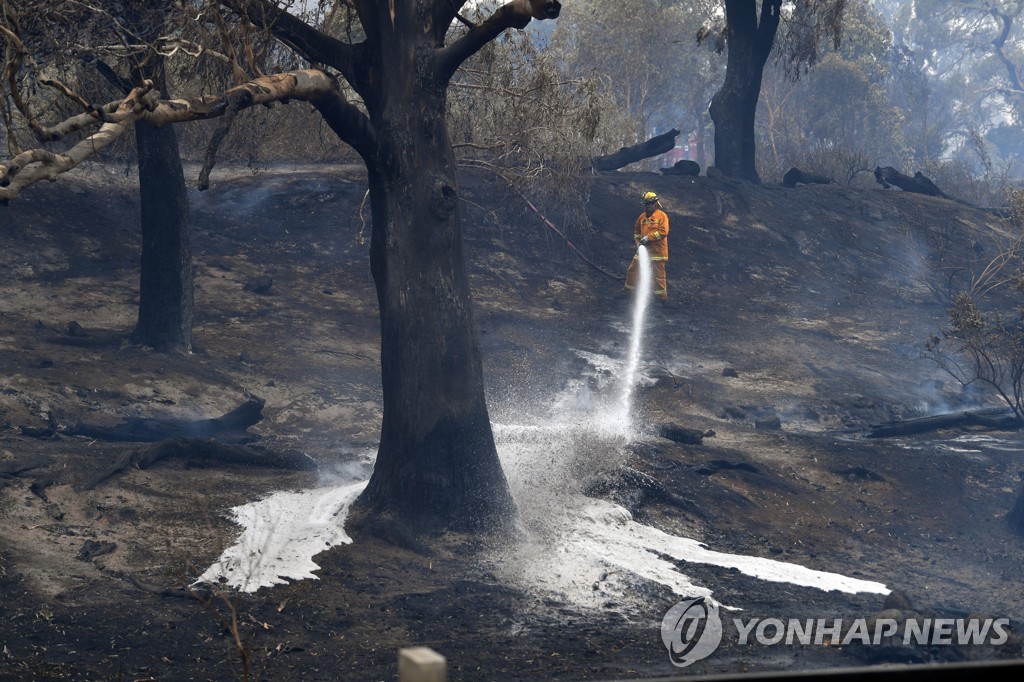 멜버른에서 산불 진압 중인 소방대원